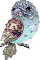 an owl broach